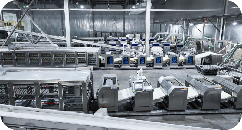 引進(jìn)先進(jìn)設(shè)備與工藝